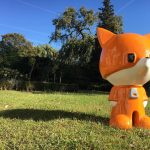 Foxy 